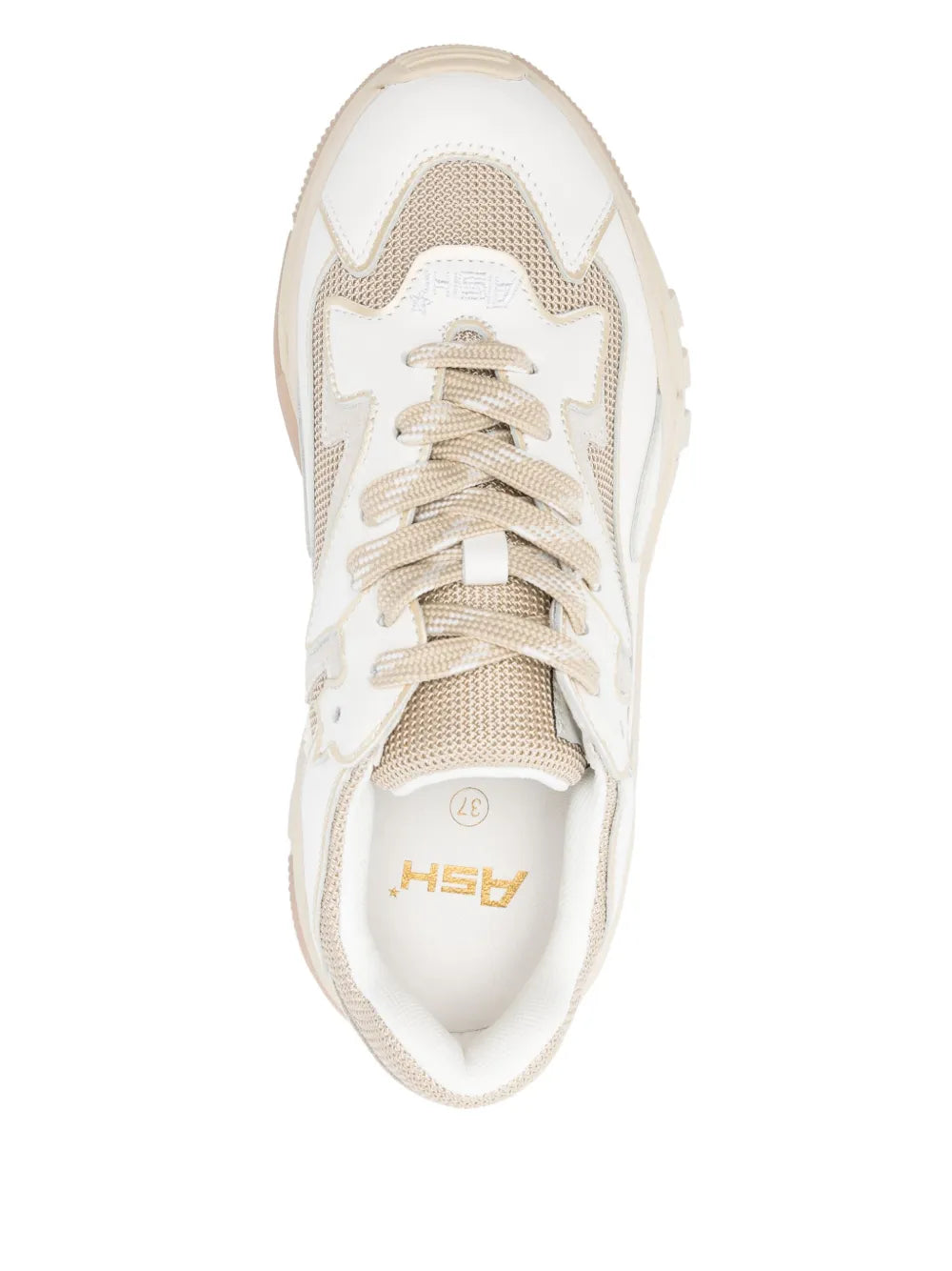 Ash  Addict sneakers