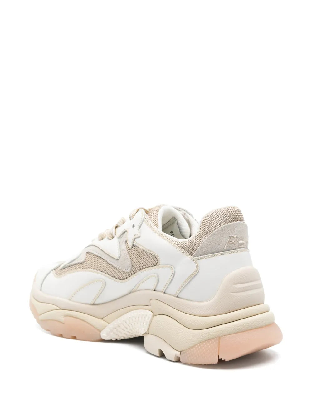 Ash  Addict sneakers
