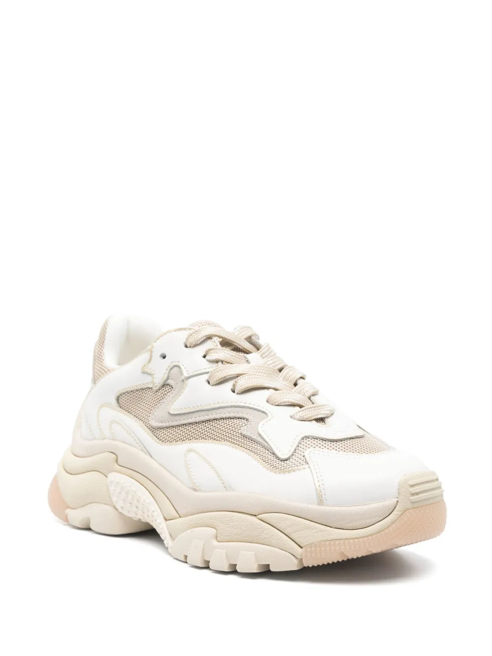 Ash  Addict sneakers