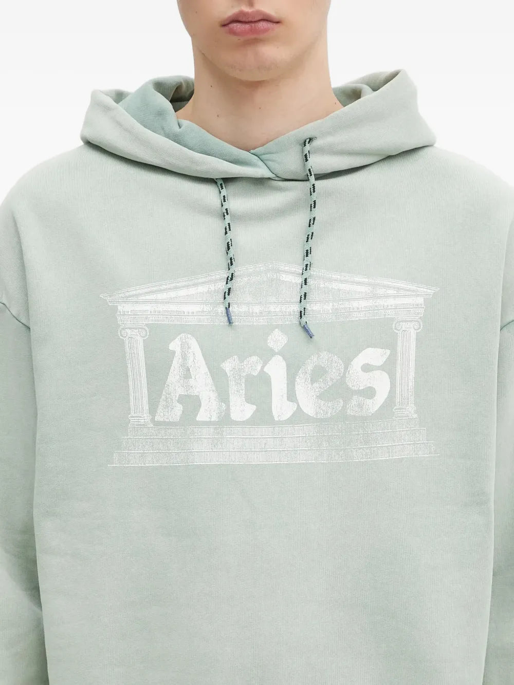 Aries  temple-logo hoodie
