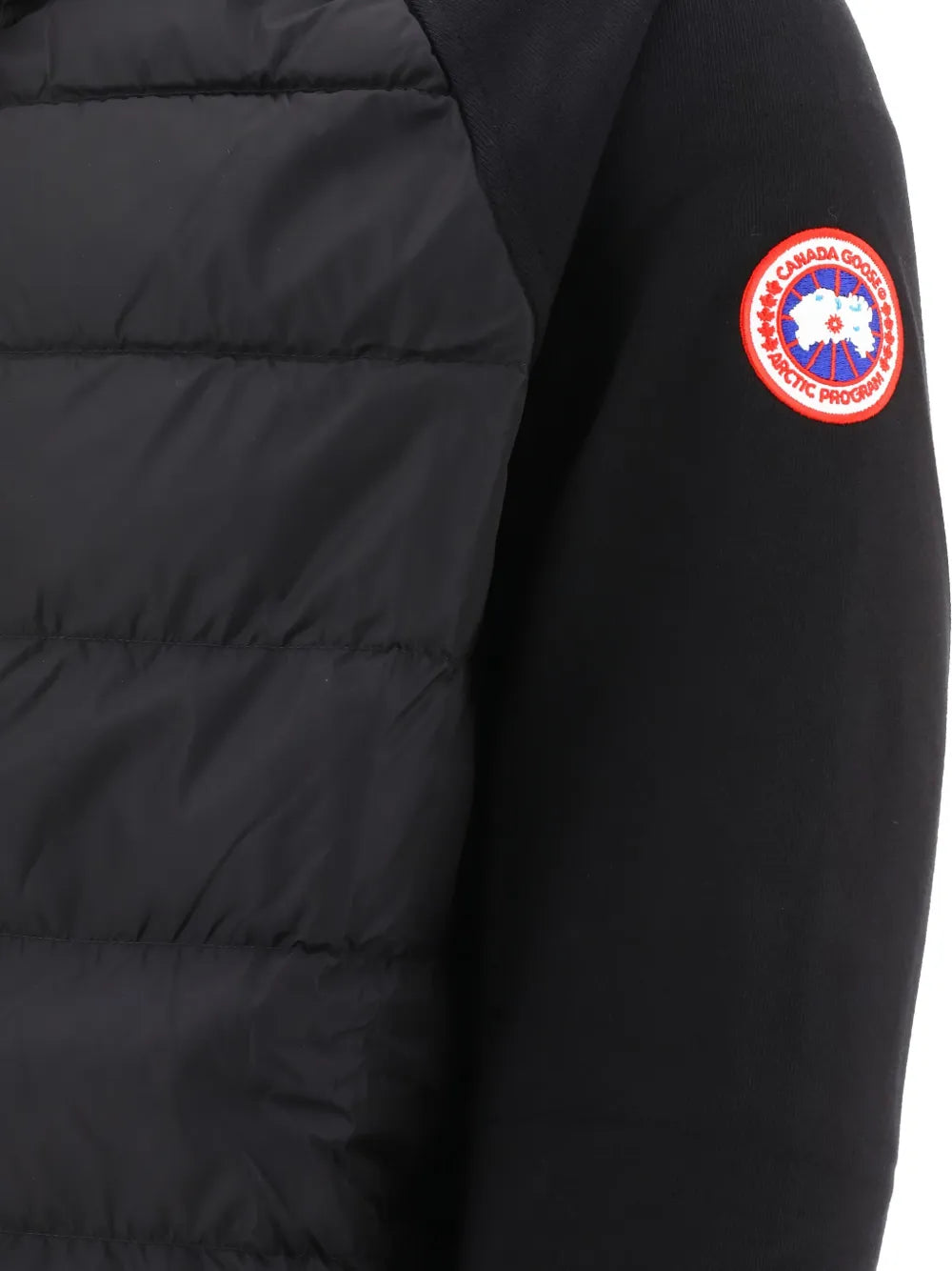 Canada Goose  quilted hooded jacket