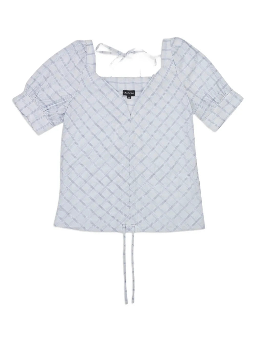 Callipygian  checked blouse
