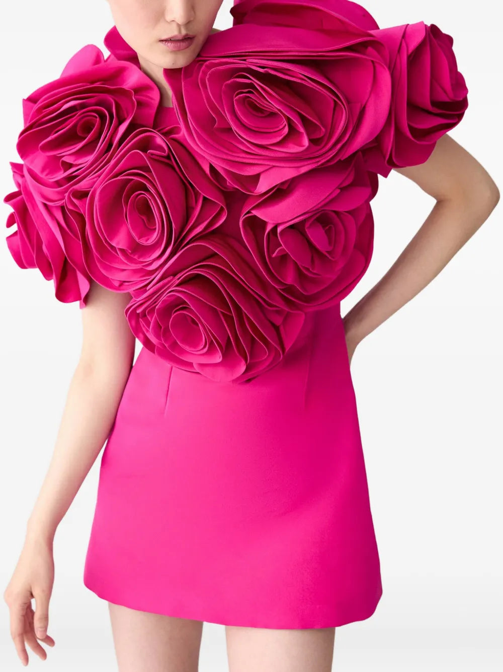 Carolina Herrera rose-embellished mini dress