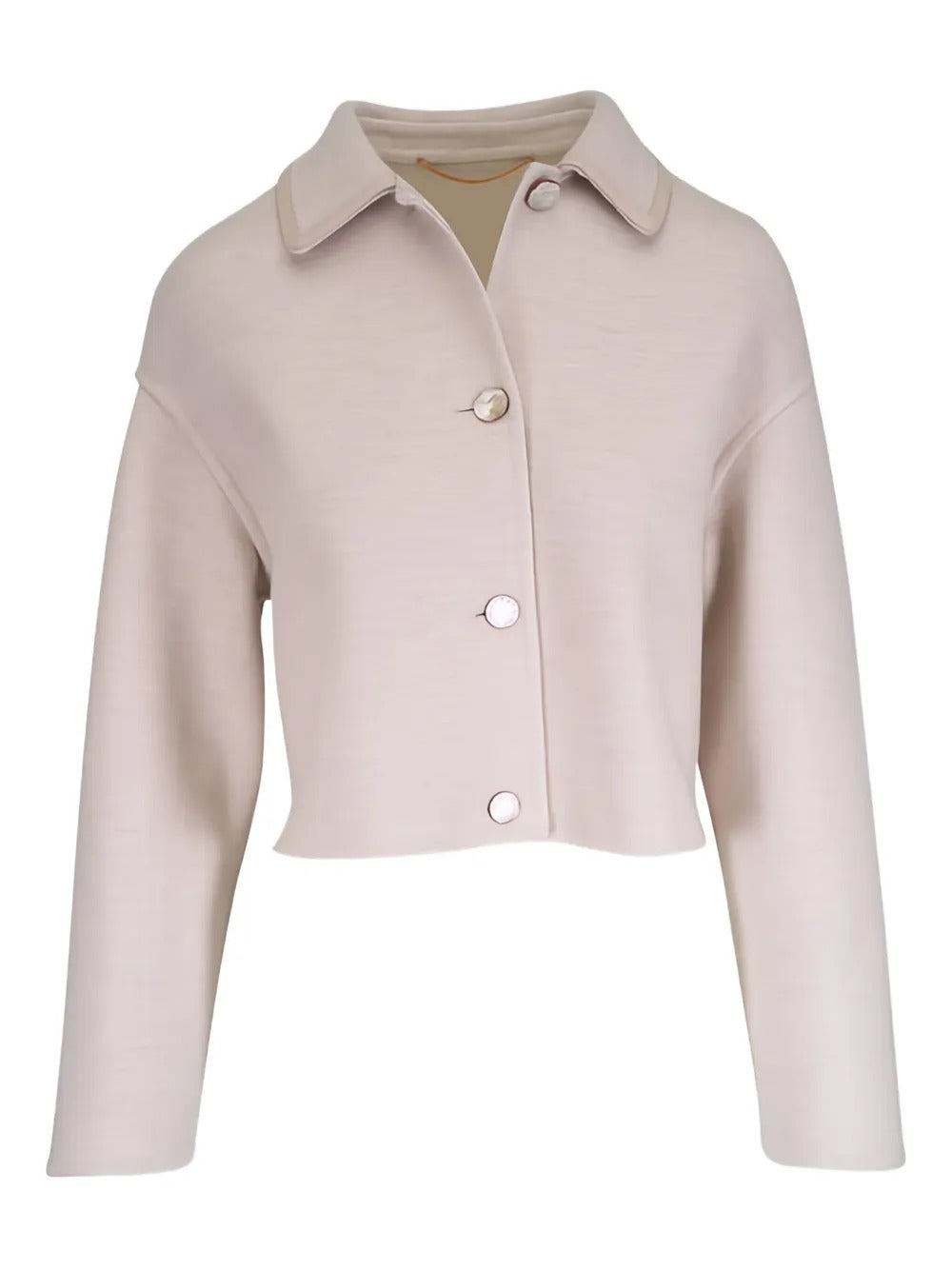 Agnona  buttoned collar jacket