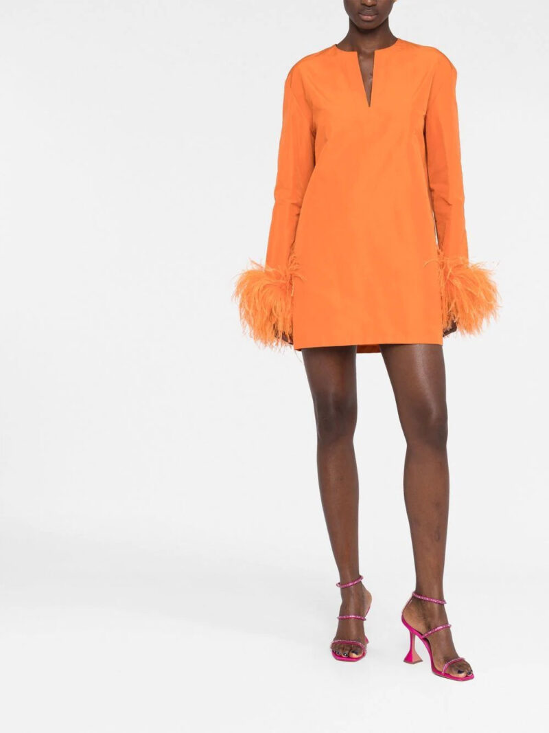 Valentino Garavani  feather-trim minidress
