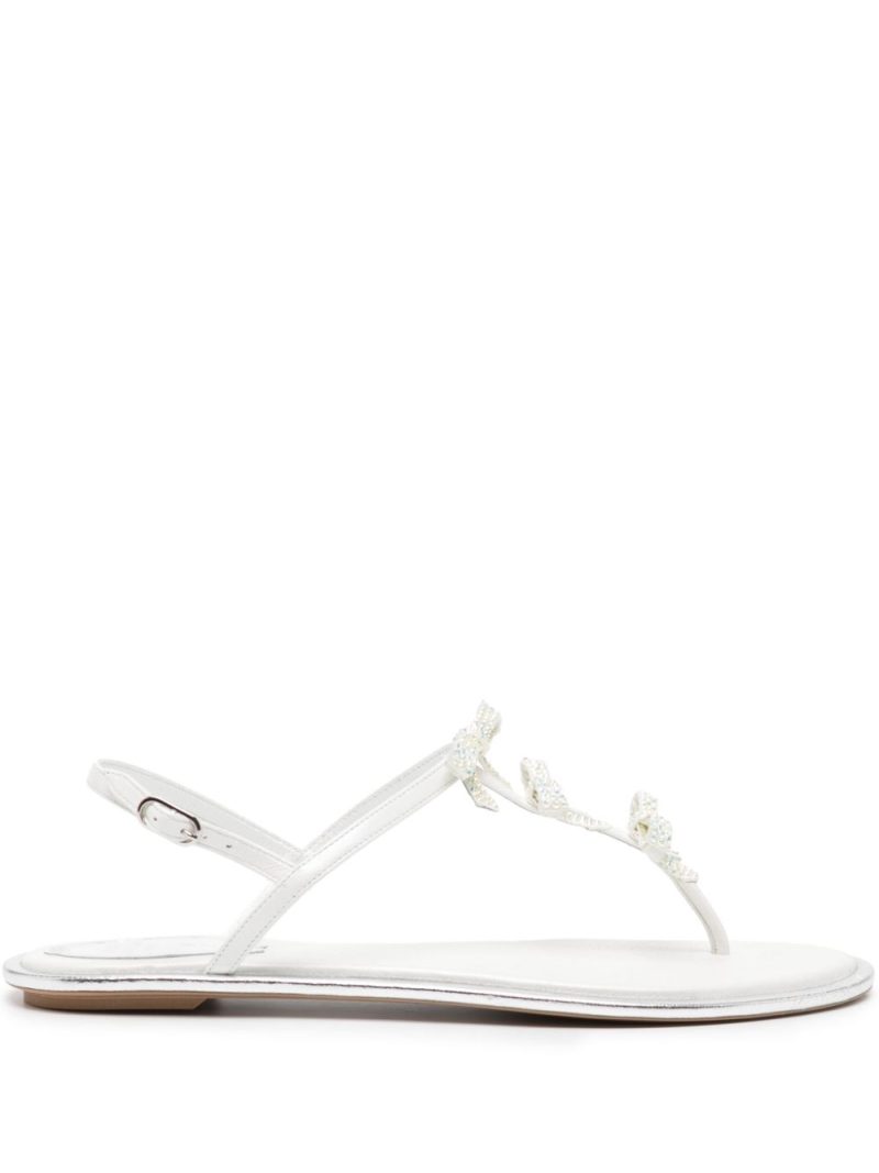 René Caovilla  CATERINA WHITE THONG SANDAL 10