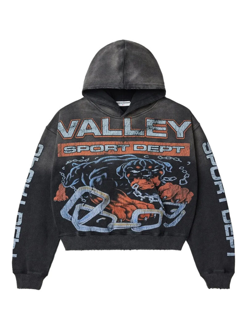 Vale  dog graphic hoodie