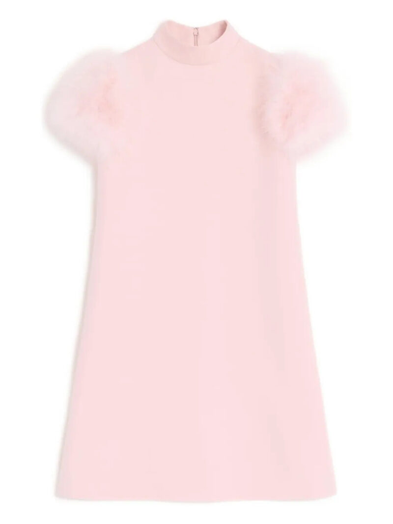 Valentino Garavani  Crepe Couture feathers-detail mini dress