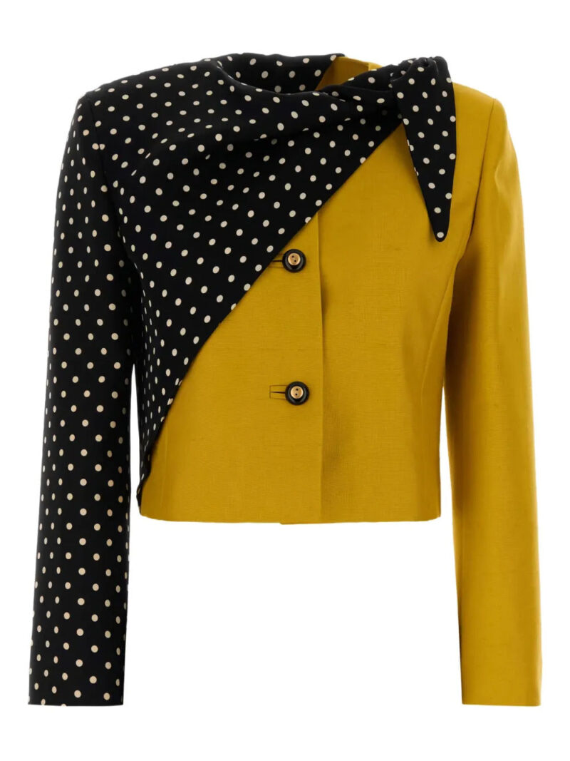 Valentino Garavani  polka dot-pattern jacket