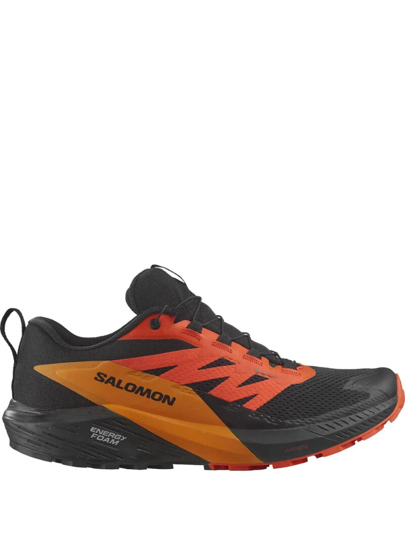 Salomon  Sense Ride 5 Gtx sneakers