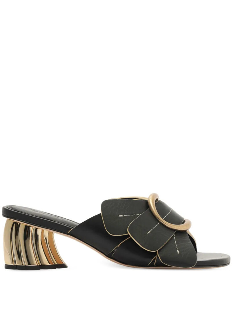 FARM Rio  Daisy mules
