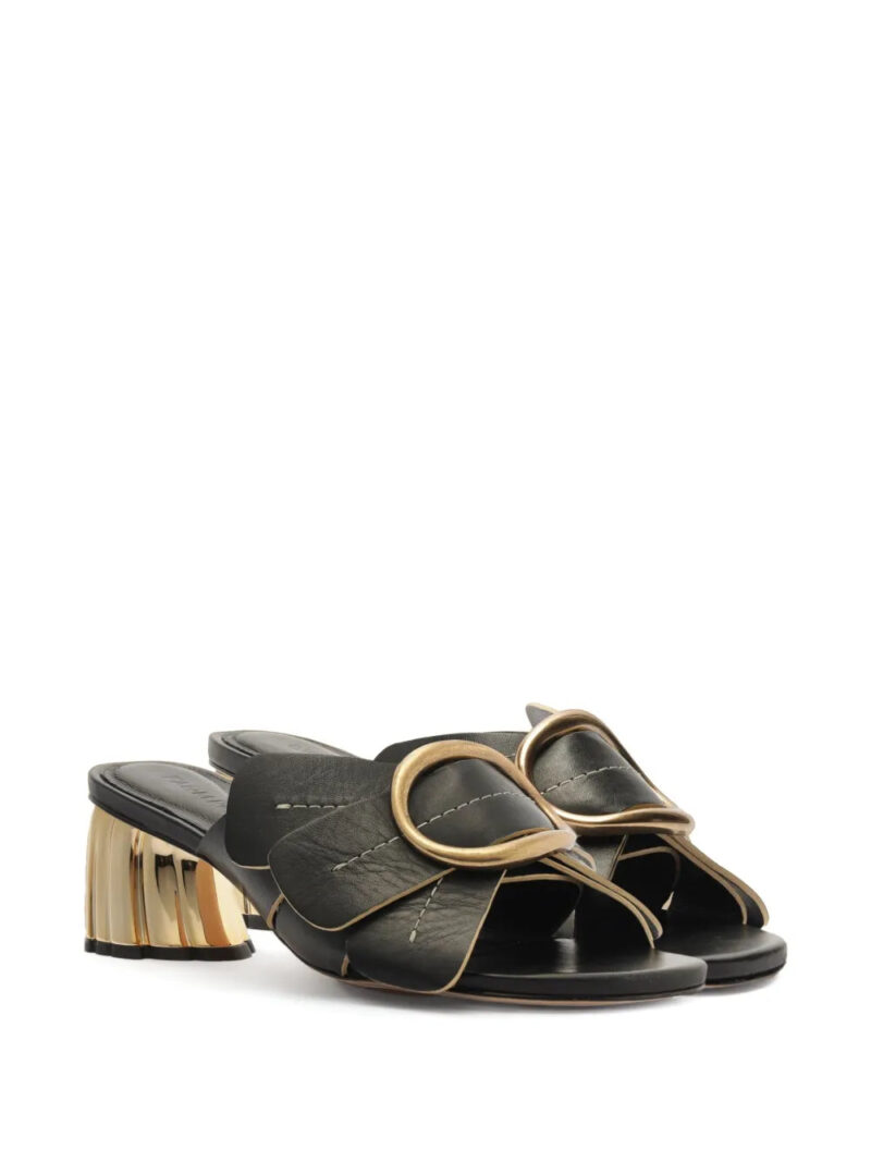 FARM Rio  Daisy mules