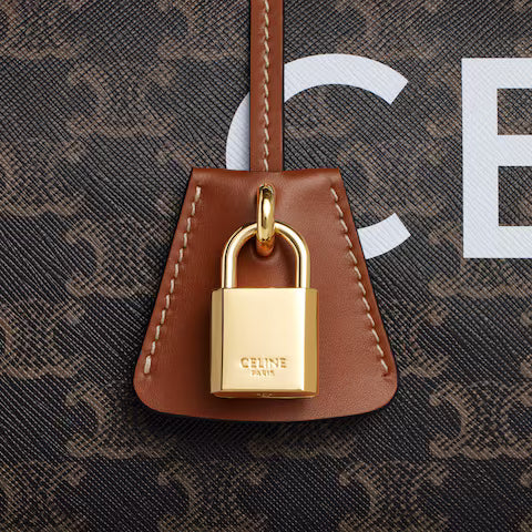 CELINE Medium Travel Bag IN Triomphe Canvas with Celine Print
