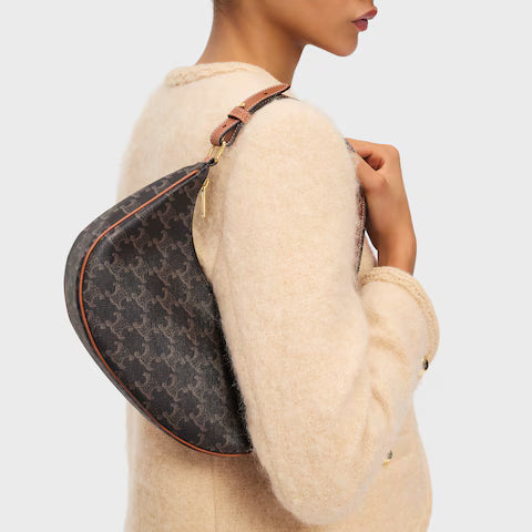 CELINE  Ava Bag IN Triomphe Canvas and calfskin