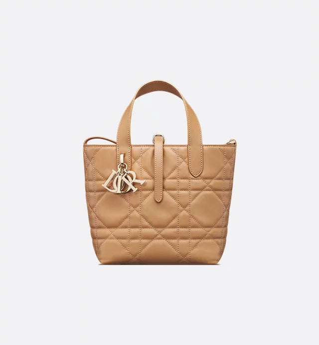 Christian Dior Small Dior Toujours Vertical Tote Bag